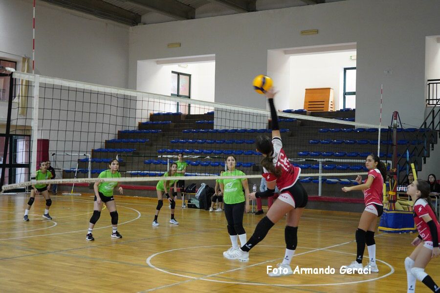 DSC08290_tn.JPG