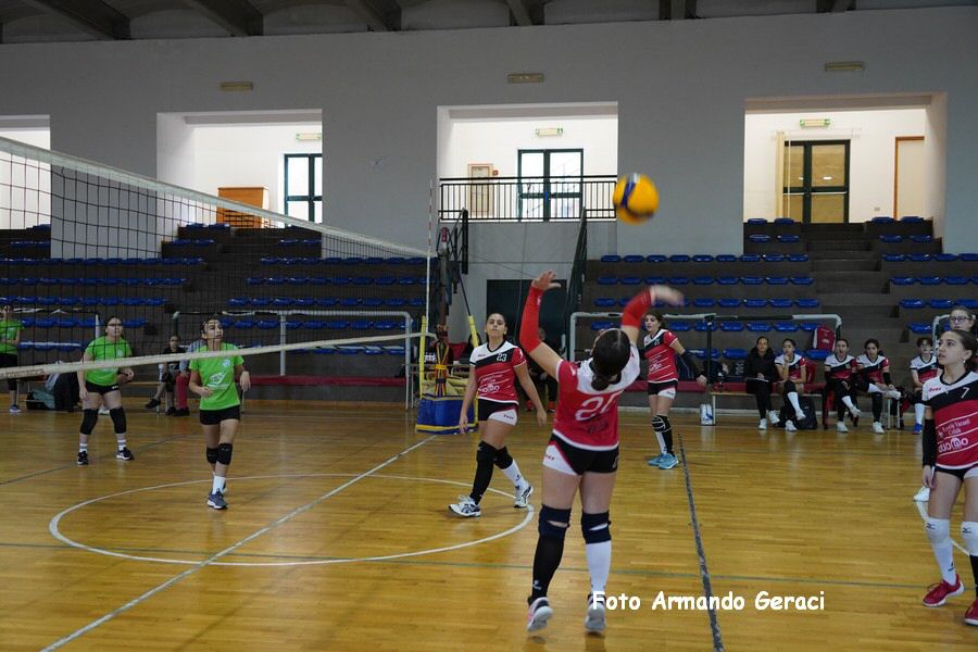 DSC08301_tn.JPG