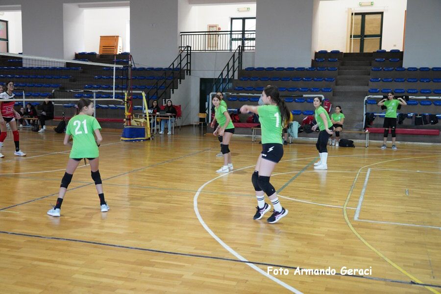 DSC08321_tn.JPG