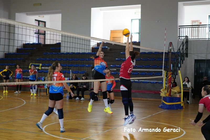 DSC05220_tn.jpg