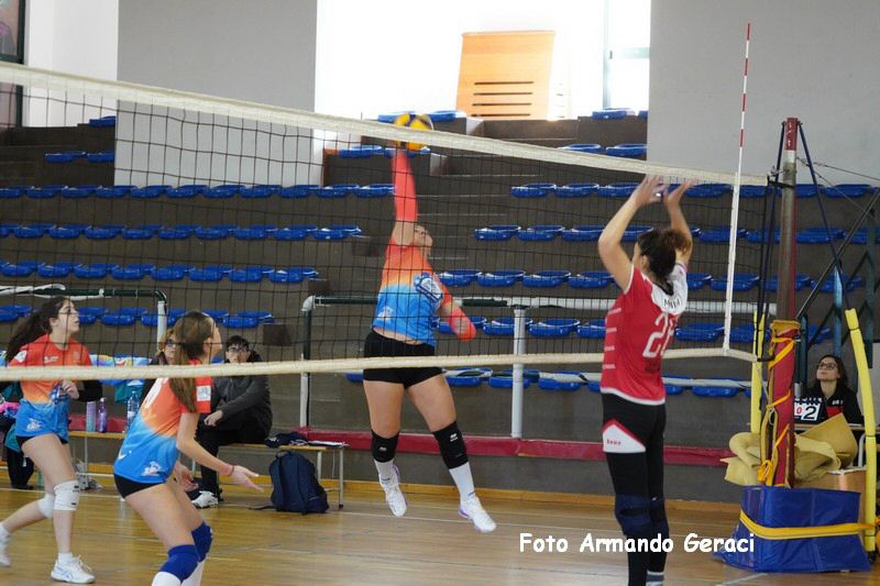 DSC05225_tn.jpg