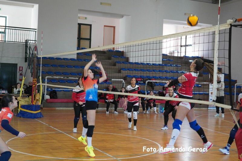 DSC05256_tn.jpg