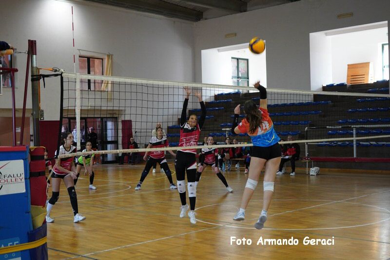 DSC05307_tn.jpg