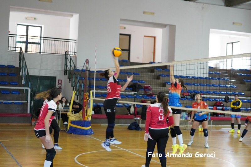 DSC05315_tn.jpg