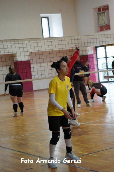 DSC07800_tn.jpg