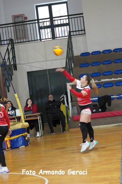 DSC07855_tn.jpg