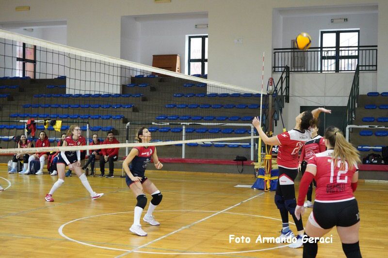DSC07856_tn.jpg