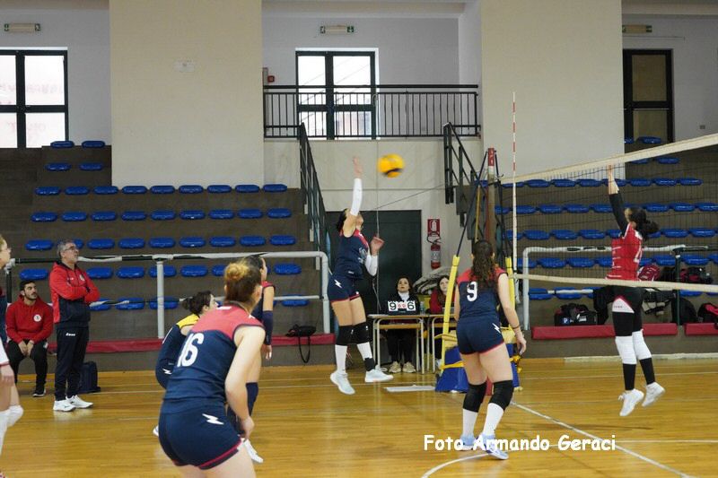 DSC07871_tn.jpg