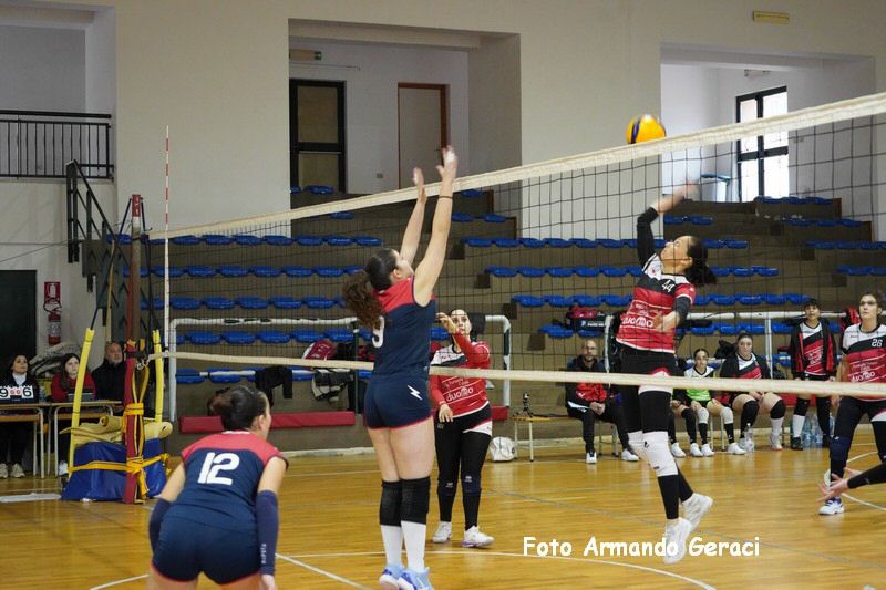 DSC07872_tn.jpg