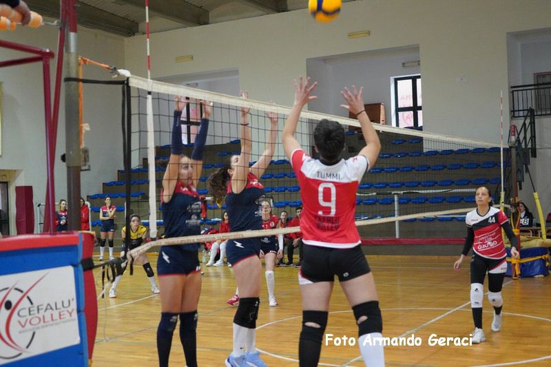 DSC07886_tn.jpg