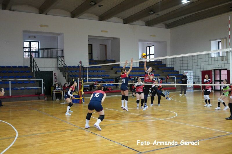 DSC07900_tn.jpg