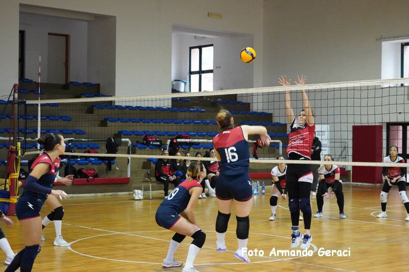 DSC07903_tn.jpg