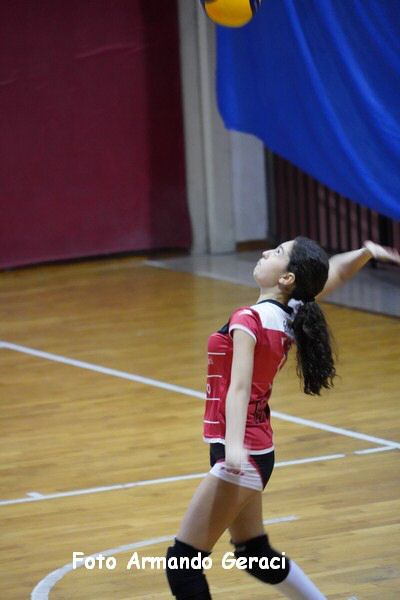 DSC07934_tn.jpg