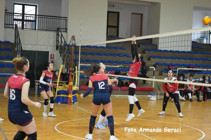 DSC07992_tn.jpg