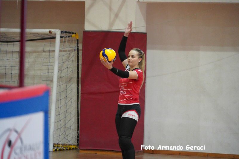 DSC07995_tn.jpg