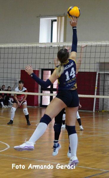 DSC09307y_tn.jpg