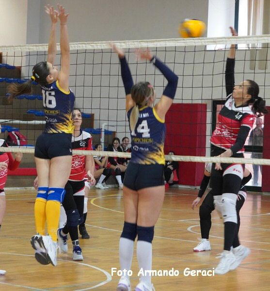 DSC09310y_tn.jpg