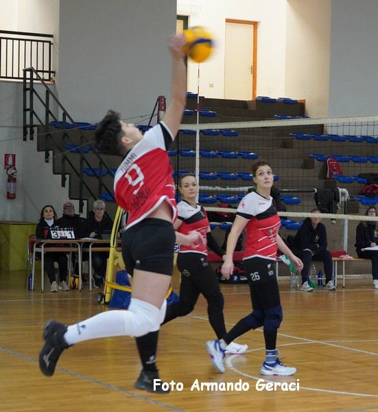 DSC09360y_tn.jpg