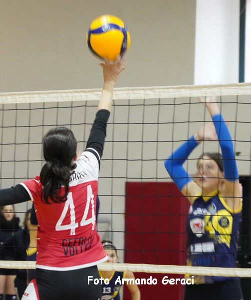 DSC09372y_tn.jpg
