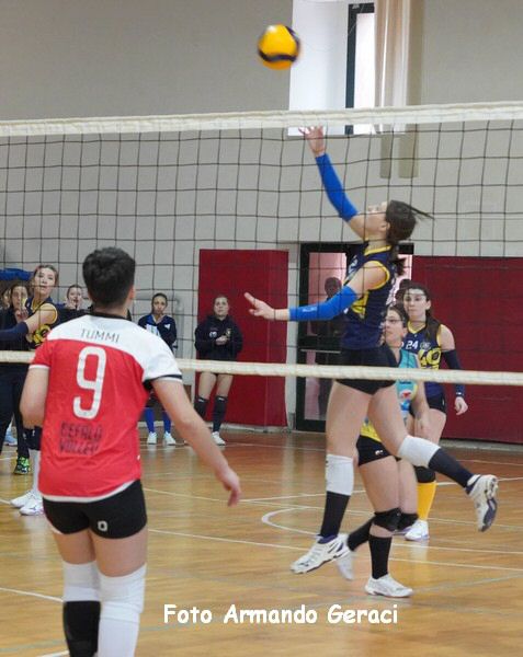 DSC09376y_tn.jpg