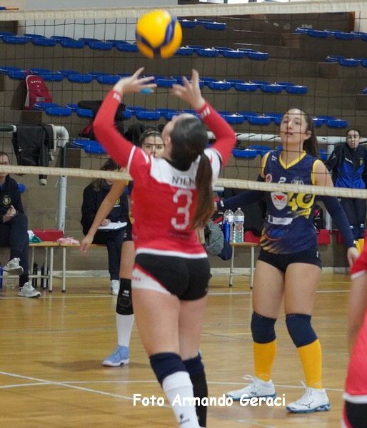 DSC09377y_tn.jpg