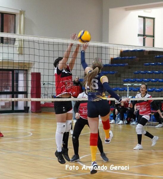 DSC09410y_tn.jpg