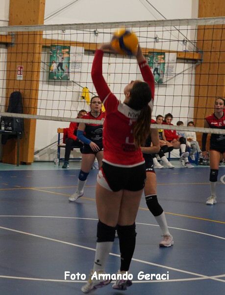 DSC00941y_tn.jpg