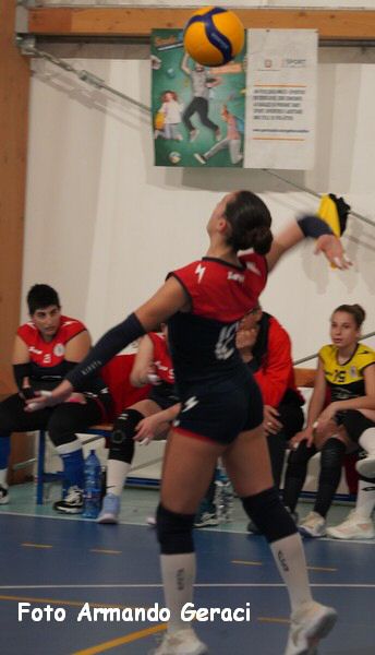 DSC00978y_tn.jpg