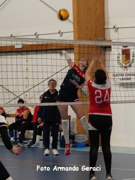 DSC01050y_tn.jpg
