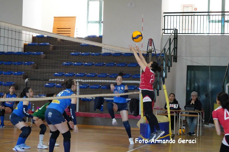 DSC01337_tn.jpg