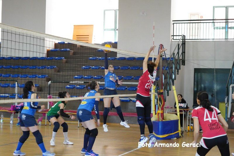 DSC01339_tn.jpg
