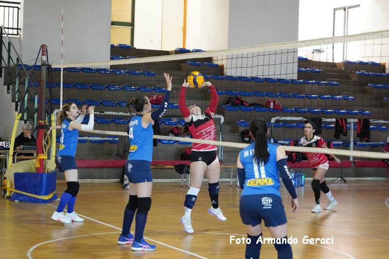 DSC01353_tn.jpg