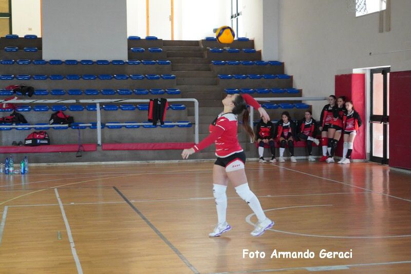 DSC03971_tn.jpg
