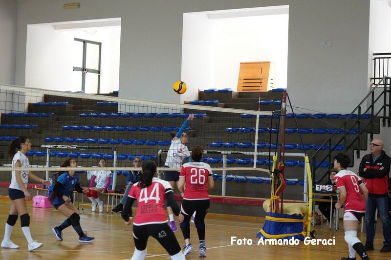 DSC03975_tn.jpg