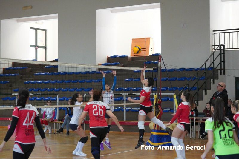 DSC03976_tn.jpg