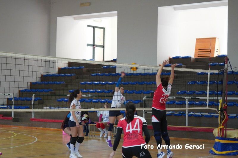DSC03977_tn.jpg