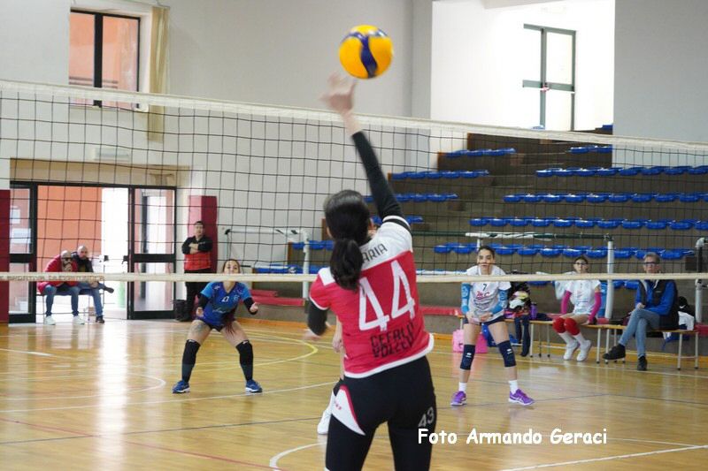 DSC03978_tn.jpg