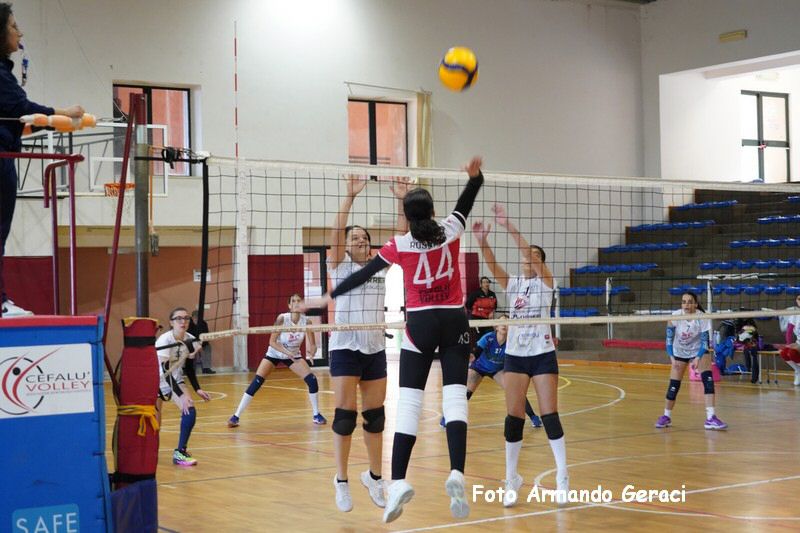 DSC03979_tn.jpg