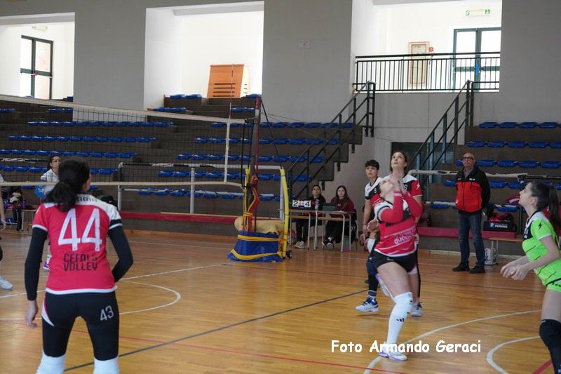 DSC03982_tn.jpg