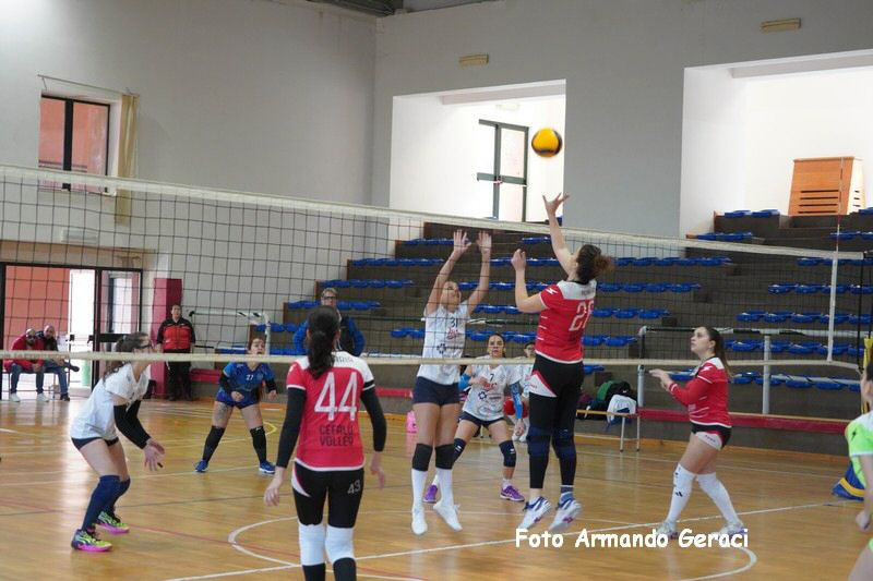 DSC03986_tn.jpg