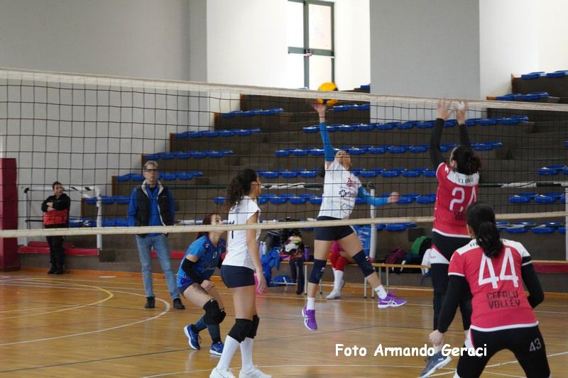 DSC03988_tn.jpg