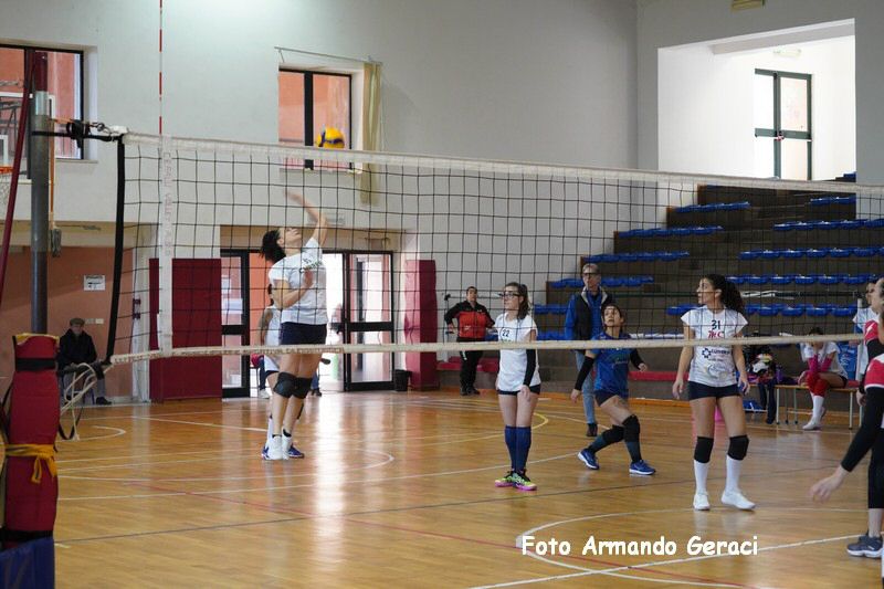 DSC03990_tn.jpg