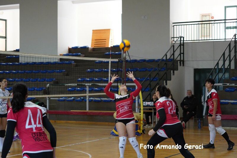DSC03991_tn.jpg