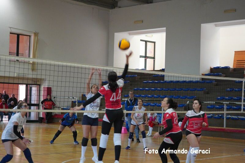 DSC03994_tn.jpg