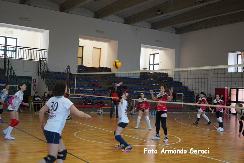 DSC04006_tn.jpg
