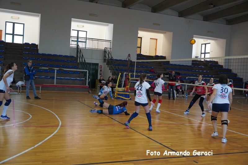 DSC04009_tn.jpg