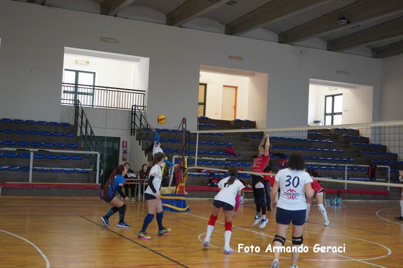 DSC04011_tn.jpg