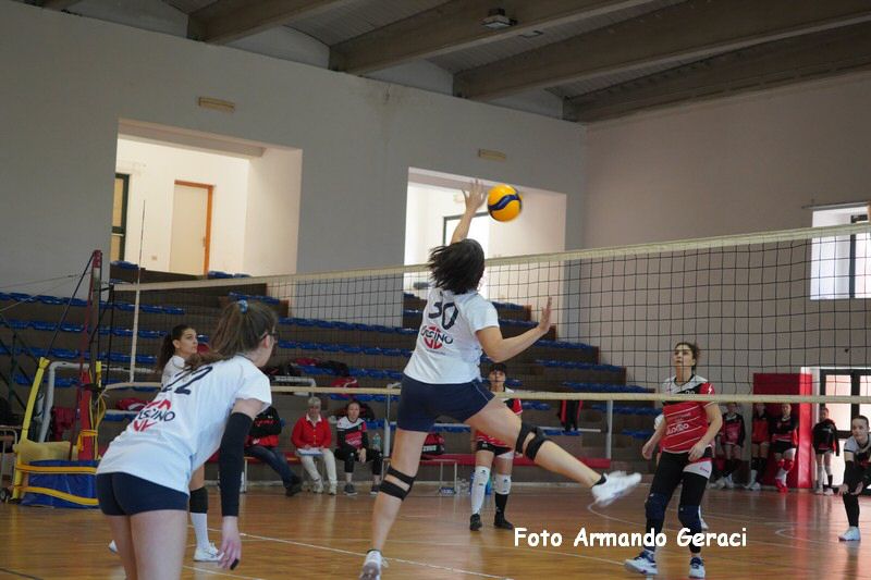 DSC04015_tn.jpg