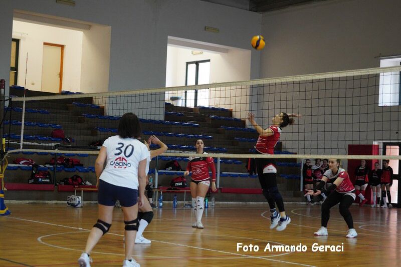 DSC04020_tn.jpg