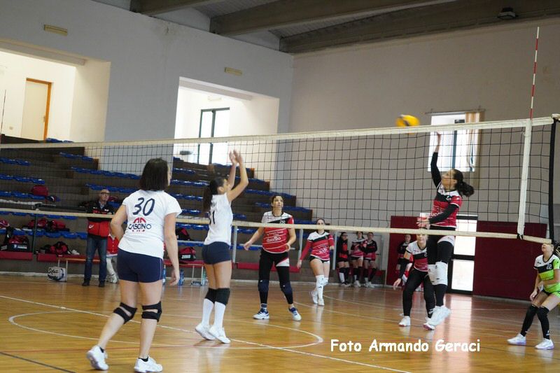 DSC04021_tn.jpg